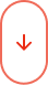 iconoir_arrow-up